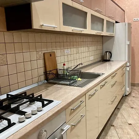 Large In The Center Apartment Mukacheve