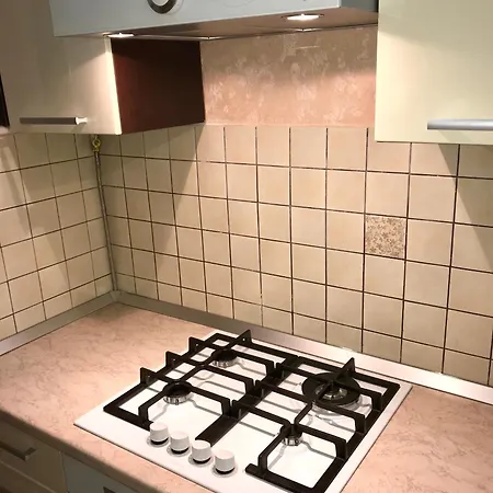 Large In The Center 아파트 *