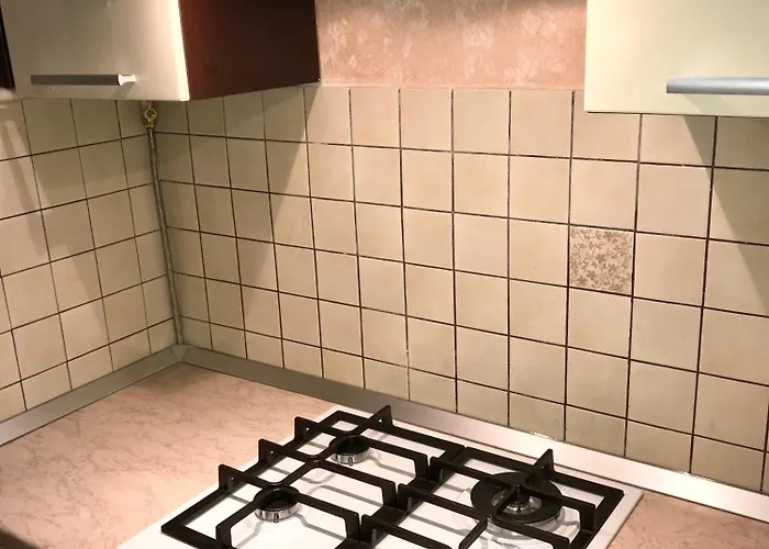 Large In The Center Apartment *