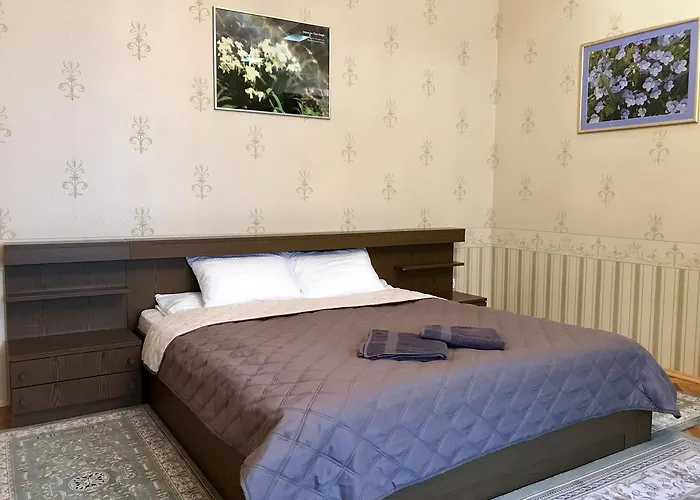 Large In The Center Apartment Mukacheve